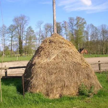 Διαμέρισμα Dom Zaba - Spreewaldatmosphaere Im Neu Renovierten Bauwagen Burg (Spreewald)