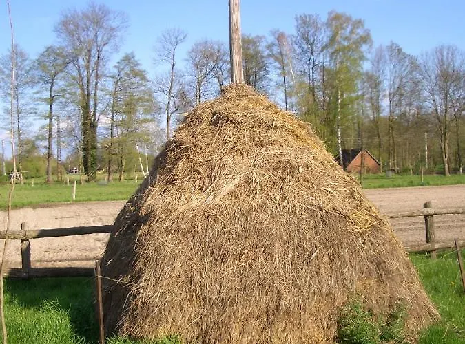 شقة Dom Zaba - Spreewaldatmosphaere Im Neu Renovierten Bauwagen بورغ